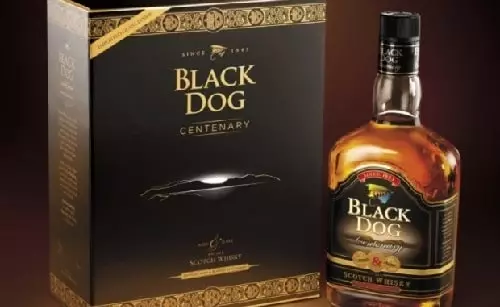 Black Dog