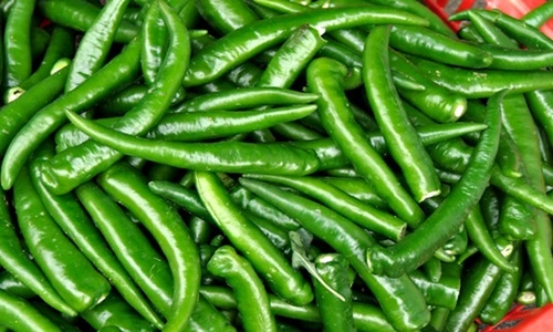 Green chili
