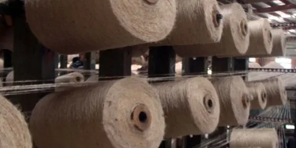 Jute-Production