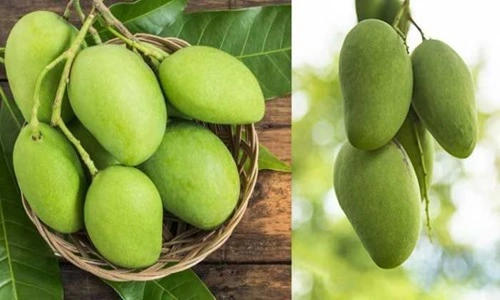 Kaccha Aam