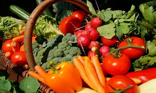 Vegetable Producing