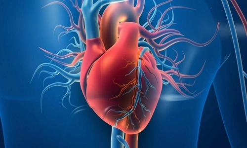 Cardiovascular Heart Diseases