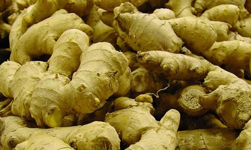 Ginger 