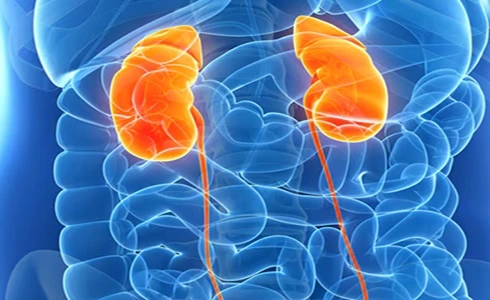 Kidney Diseases