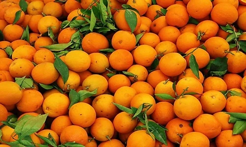 Orange Producing