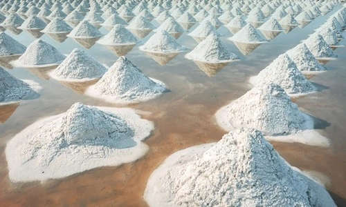 Salt Producing