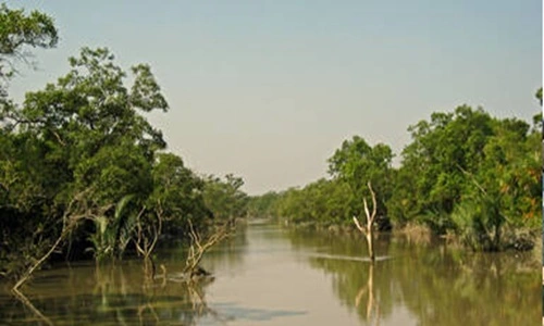 Sundarbans