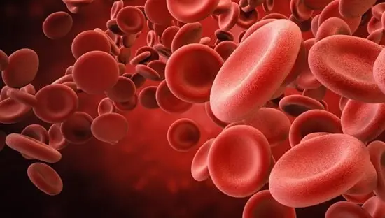 Blood-Cell-Size