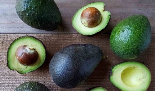 Avocado 