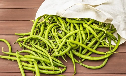 Cowpea 