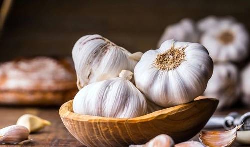 Garlic