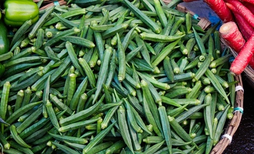 Okra 