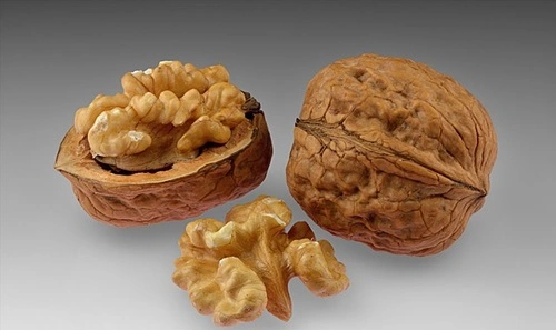 Walnut 
