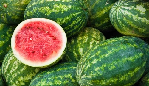 Watermelon 