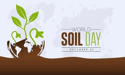 World Soil Day