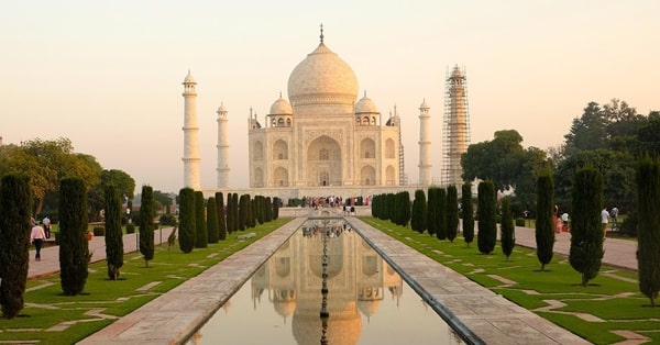 love taj