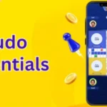 Ludo Essentials