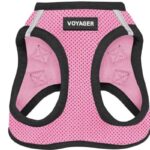 Pug Harness