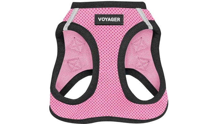 Pug Harness
