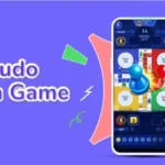 Ludo Wala Game