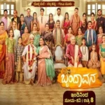 Brindavana (Colors Kannada)