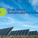 DJSI Inclusion Strategy