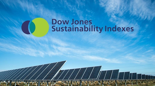 DJSI Inclusion Strategy